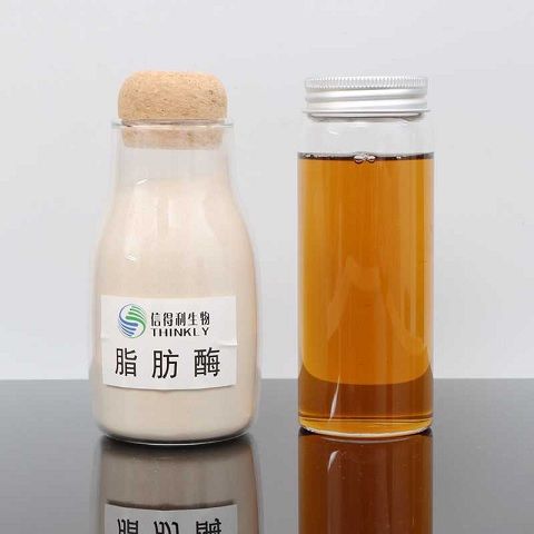 脂肪酶，你用對了嗎？